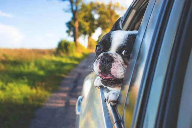 10 accessoires pratiques pour des voyages en voiture réussis