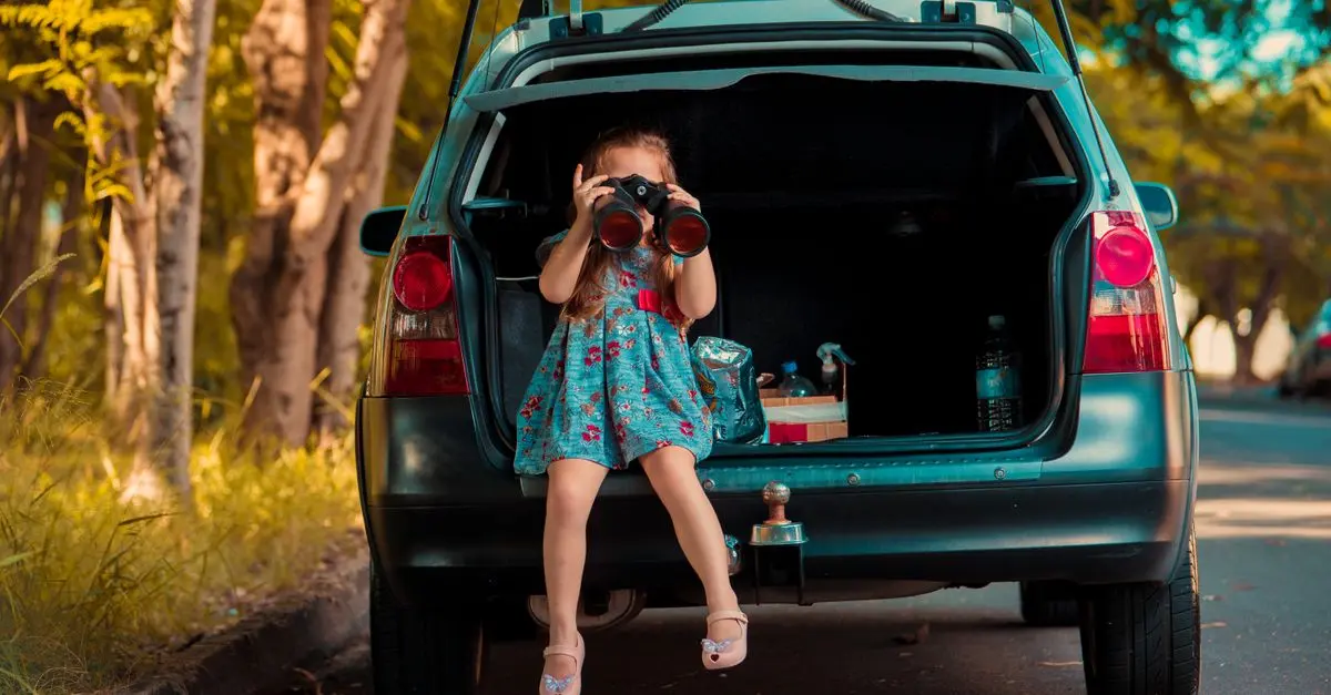 Comment choisir le bon organiseur de voiture pour enfants