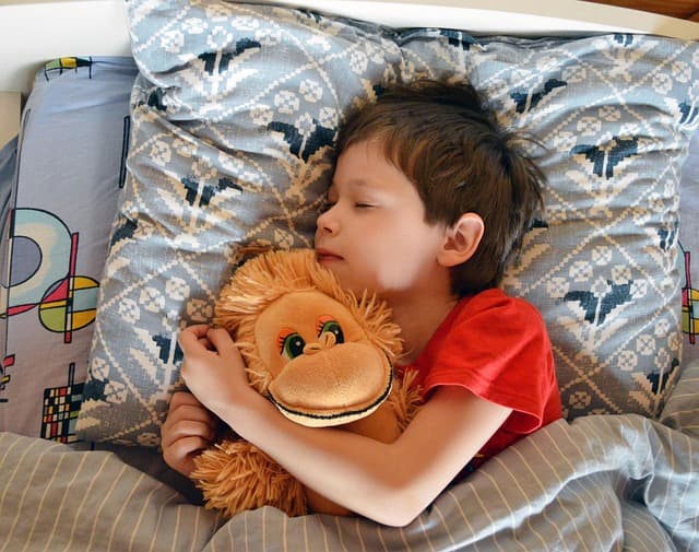 Comparatif des meilleures alternatives aux tablettes pour enfants